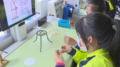 長白山 菜單式課后服務賦能“雙減”落地，教育咨詢精準護航
