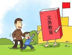 濰坊發布2017年城區義務教育招生政策，教育咨詢服務同步啟動