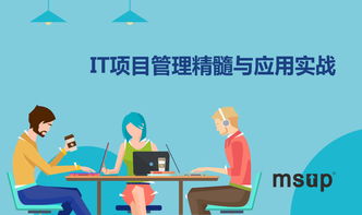 msup 軟件研發(fā)管理培訓(xùn)與咨詢(xún)服務(wù) 賦能團(tuán)隊(duì)，驅(qū)動(dòng)卓越